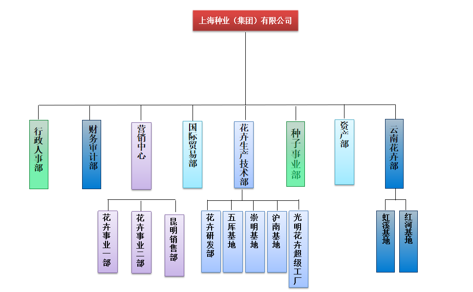 組織架構(gòu)圖.png
