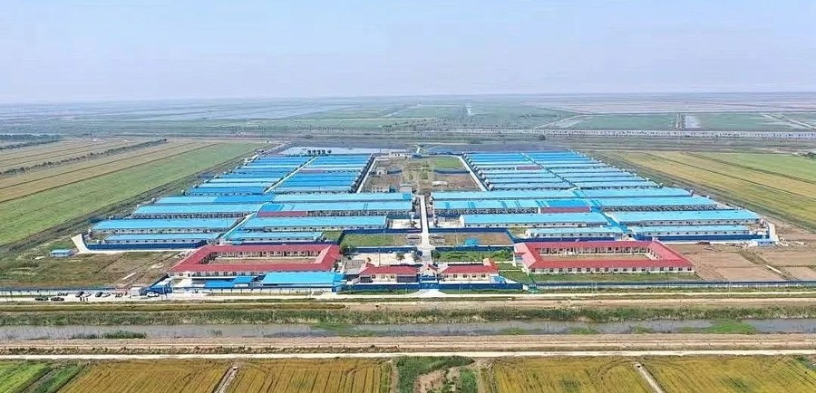 2　光影見證 · 深耕448.jpg