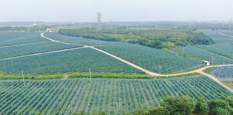 2　光影見證 · 深耕1062.jpg